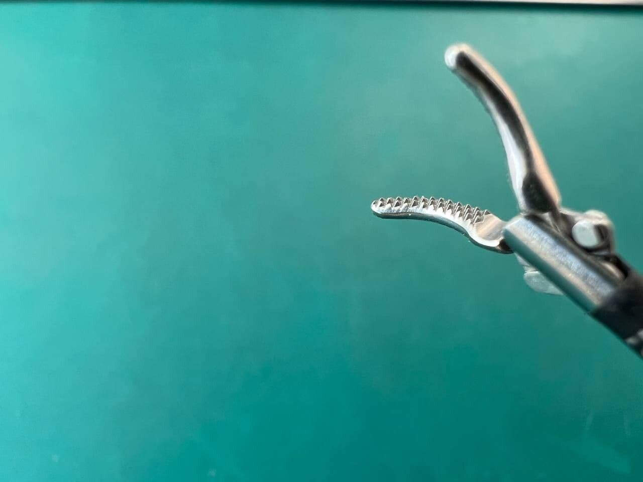 KARL STORZ 30310MDS Kelly Dissect Forceps, Atraumatic, Curved, Double Action