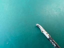 KARL STORZ 30310MDS Kelly Dissect Forceps, Atraumatic, Curved, Double Action