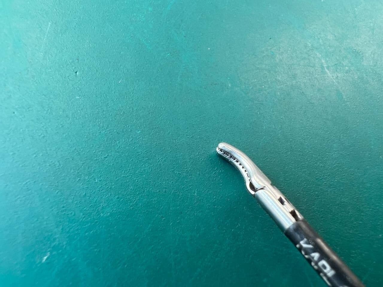 KARL STORZ 30310MDS Kelly Dissect Forceps, Atraumatic, Curved, Double Action