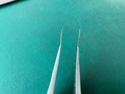 Duckworth & Kent DK7740 DK IOL Insertion Forceps