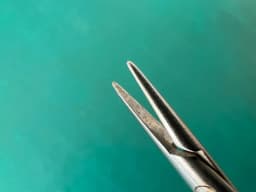 Storz E3862 Castroviejo Needle Holder, Straight, 10mm Jaws, 5.4”