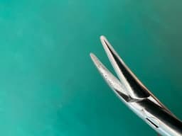 Storz E3849 Castroviejo Needle Holder 11mm Curved Medium