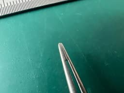 Dennis Micro Forceps,  platform tips, Round handle, 7″ 18.0 cm Scanlan 4004-95