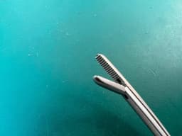 Aesculap MB474R Tendon Pulling Forceps Curved Serrated