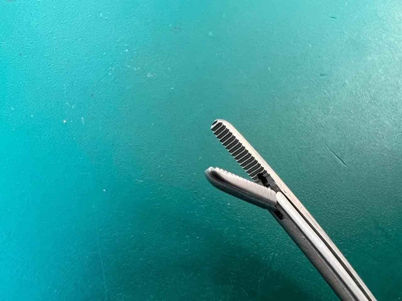Aesculap MB474R Tendon Pulling Forceps Curved Serrated