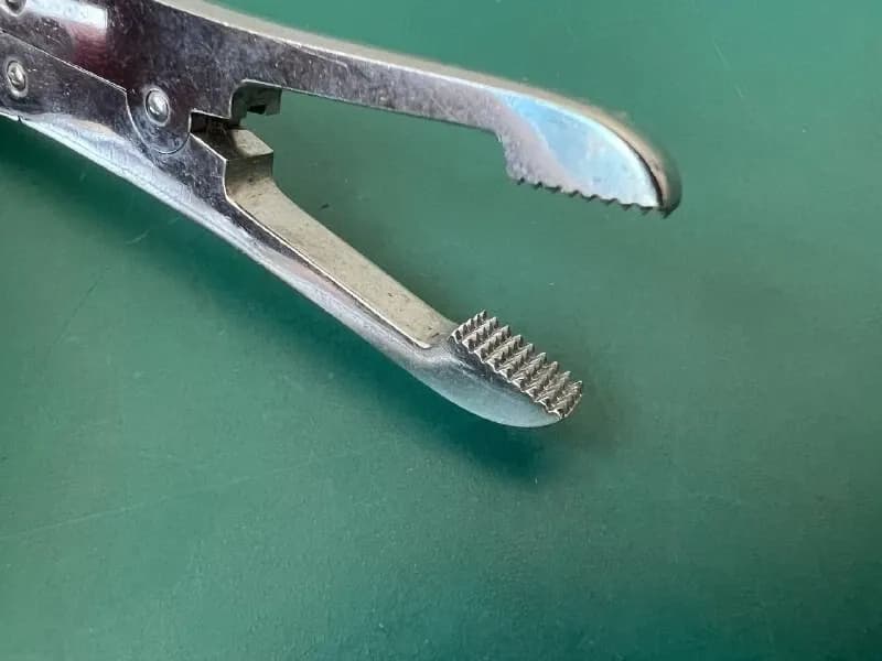 Storz N5346 Wright-Rubin Septum Morselizer Forceps Angled
