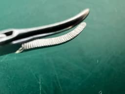 Karl Storz 8593B Kleinsasser Grasping Forceps Curved Serrated