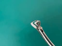 Storz N6177 Ronis Adenoid Punch Forceps No. 1. Triangular. 7mm triangular basket