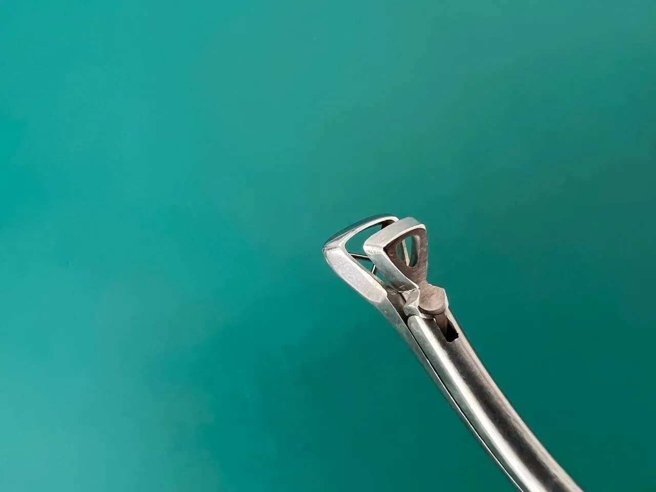 Storz N6177 Ronis Adenoid Punch Forceps No. 1. Triangular. 7mm triangular basket