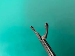 Richards 13-1025, Cupped Forceps Curved Left, 4mm Jaw, Ebonized