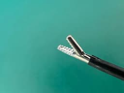 Snowden&Pencer 88-5015 Daniel EndoForehead Grasping Forceps, CVD Left