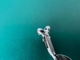Karl Storz 10350 L Surgical Round Optical Biopsy Cup Forceps