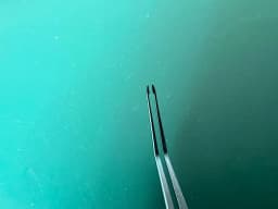 Storz ET3122 Bausch & Lomb Ophthalmics Titanium Charlie Forceps II 4.1"
