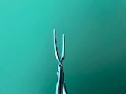 Storz ET2901 Hall lens insertion forceps, 4 1/4'',angled, thin, long jaws