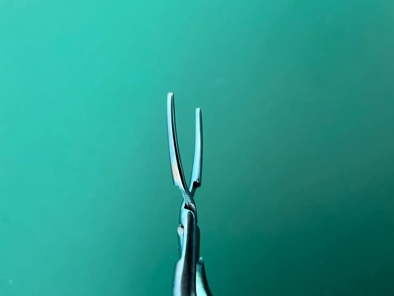 Storz ET2901 Hall lens insertion forceps, 4 1/4'',angled, thin, long jaws
