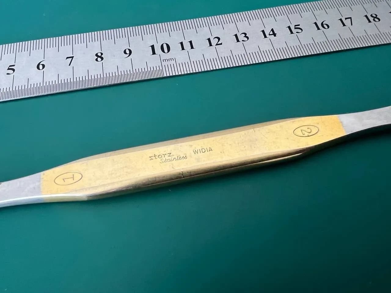 Storz P-1000-2 Gold Double Sided Widia Bone Rasp 8-1/2" Length