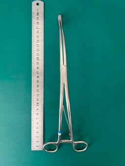 Karl Storz 40400K Surgical Sponge Forceps 10" Curved Jaw & Shanks
