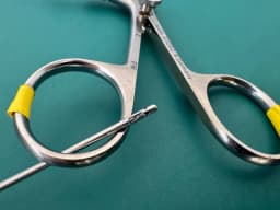 Karl Storz 27028Z Semi-Rigid Forceps 5Fr Double Auction 24-1/2"