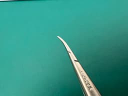 Storz E3839X Troutman Needle Holder 10mm Curved Medium Locking