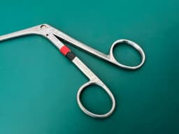 Karl Storz Nasal Cutting Forceps, size 1, 453501