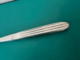 Storz N-4502 Diamond Surface Rasp,Fine. Straight. 7mm x 25mm 189mm, 7.4 inch