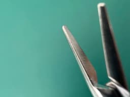 Aesculap FD048R Micro Needle Holder, straight, 200 mm (7 7/8")