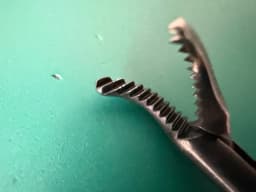 R.Wolf 8383.571 5mm 33cm Laparoscopic Dissector