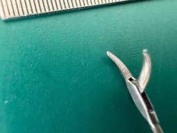 KARL STORZ 8593CM Kleinsasser Mini Grasping Forceps Curved Left Serrated