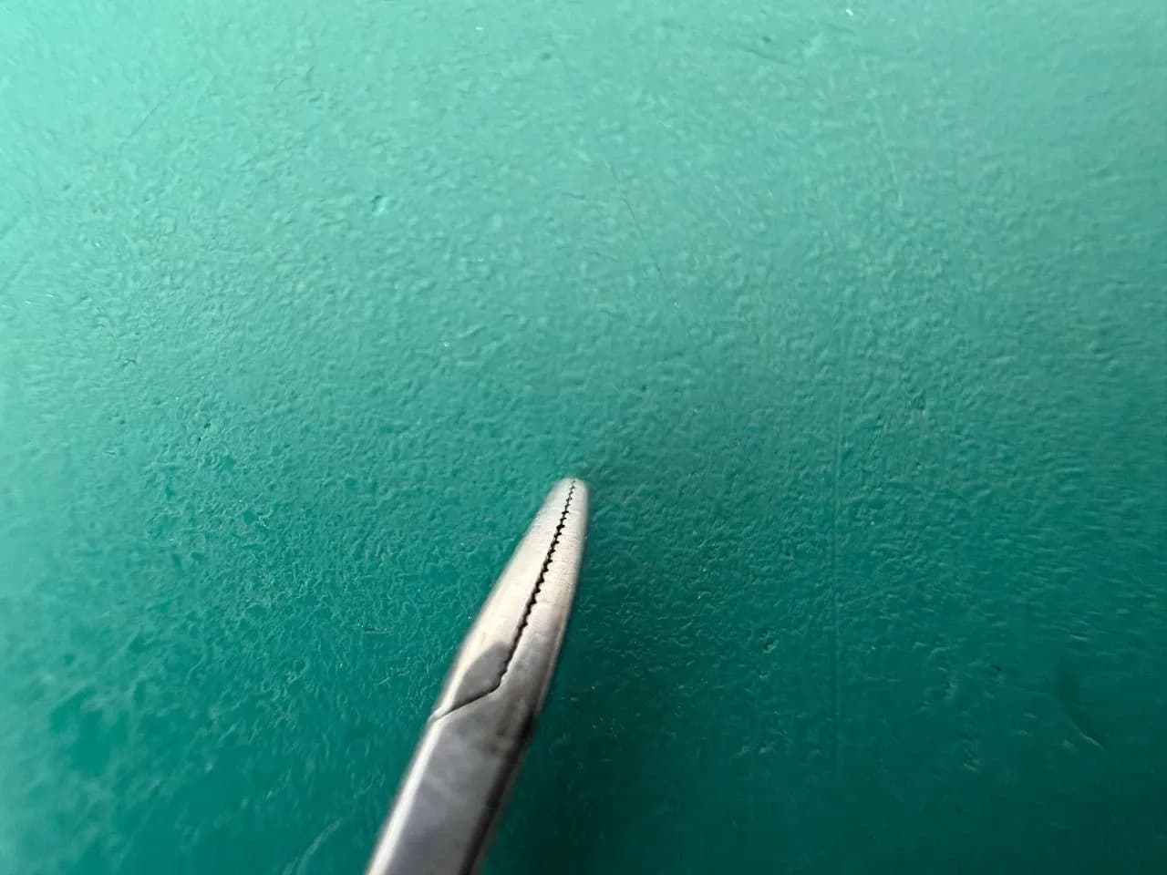 KARL STORZ 8593CM Kleinsasser Mini Grasping Forceps Curved Left Serrated