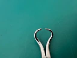 399.97 Germany REDUCTION FORCEPS WITH POINTS RATCHET 130 mm