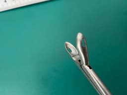 Storz N2980 Wilde Nasal Forceps ENT 5mm x 10mm cups, fenestrated