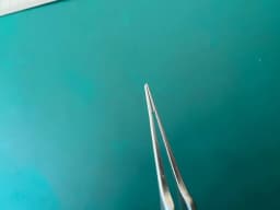 Walcott Rx252 McPherson Tying Forceps With 4mm Smooth Tying Platform