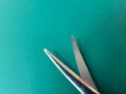 Storz E3571 Strabismus Scissors Curved blunt tips
