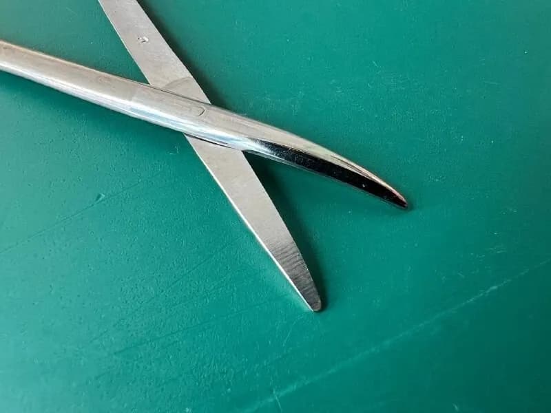 Storz E3571 Strabismus Scissors Curved blunt tips