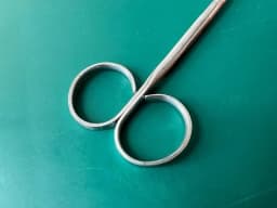Storz E3571 Strabismus Scissors Curved blunt tips
