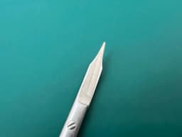 Symmetry 32-940 Scissors; Fox; Tissue and Gum; Curved; Tungsten Carbide; 5 1/8