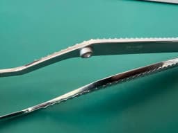Пінцет анатомічний Weck Neurofeel 395120, гострий, 8 1/2″
