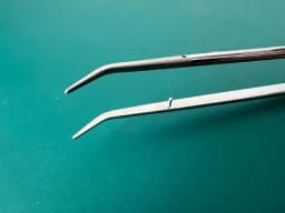 Weck 395118 Neurofeel Thumb Forceps Angled, smooth, 7-1/4" (18.5 cm)