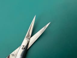 Storz E-3405 Iris Scissors 28mm Pointed Curved