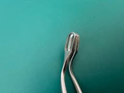 Storz N6120 St. Clair-Thompson Adenoid Forceps ENT