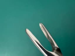 Storz N3070 Jansen-Middleton Septum Forceps 4mm x 11mm cups 174mm, 6.9 inches.