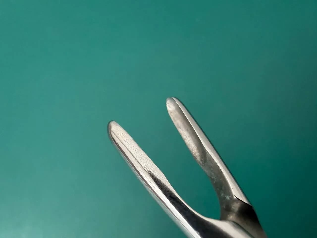 Storz N3070 Jansen-Middleton Septum Forceps 4mm x 11mm cups 174mm, 6.9 inches.