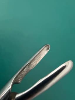 Storz N3070 Jansen-Middleton Septum Forceps 4mm x 11mm cups 174mm, 6.9 inches.